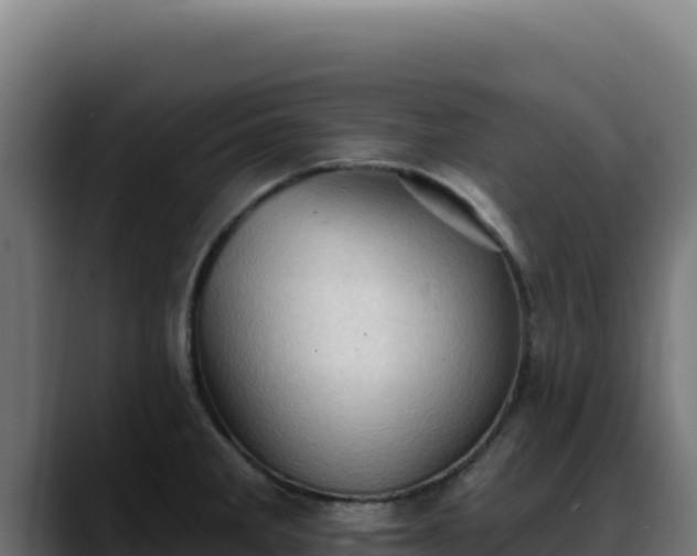 X0000088391285200705291400