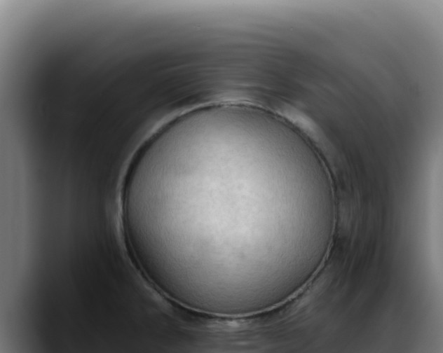 X0000088391286200705291400