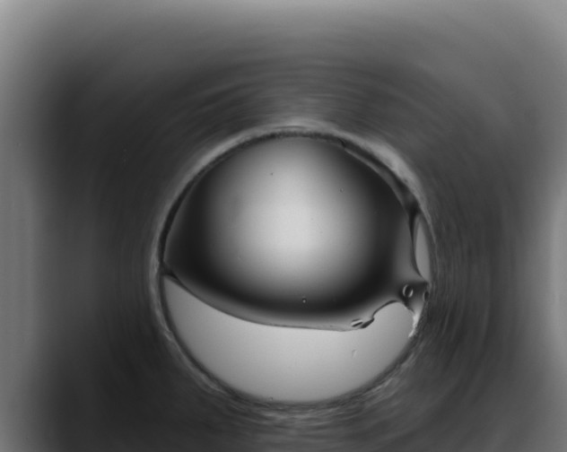 X0000088391287200705291400