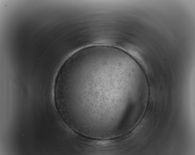 X0000088391288200705291400