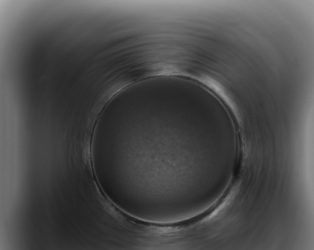 X0000088391289200705291400