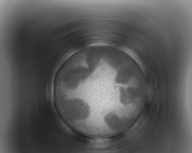 X0000088391290200705291400