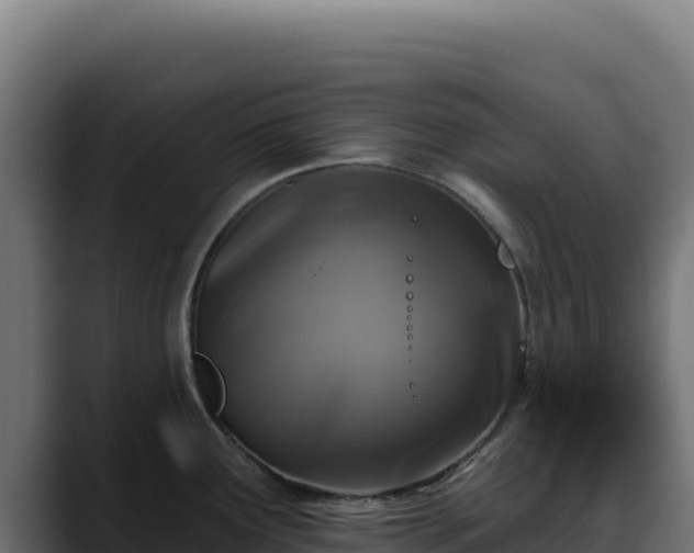 X0000088391291200705291400