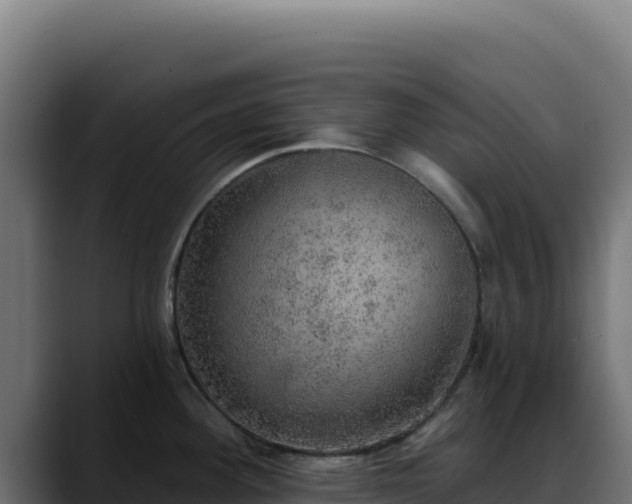 X0000088391292200705291400