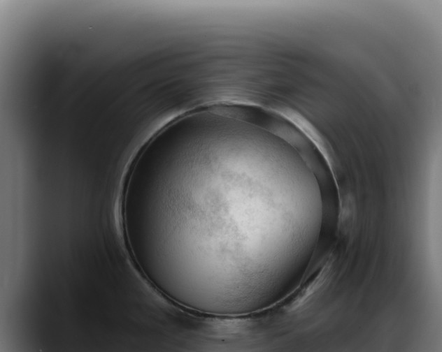 X0000088391293200705291400