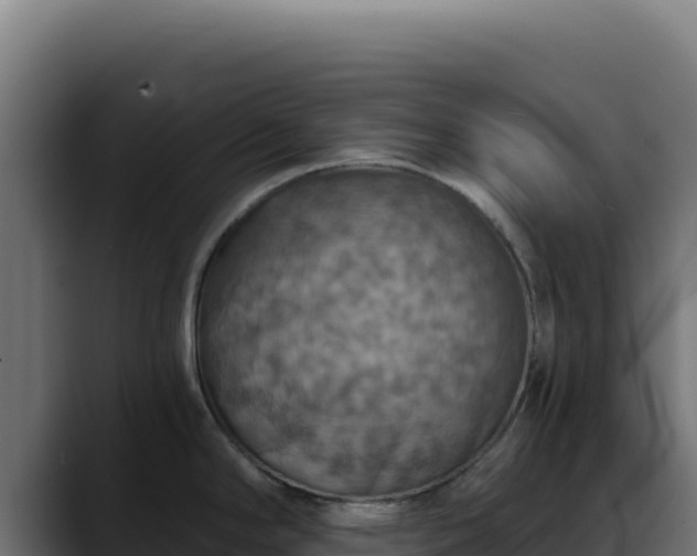 X0000088391294200705291400