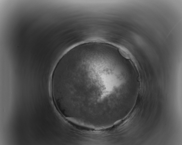 X0000088391295200705291400