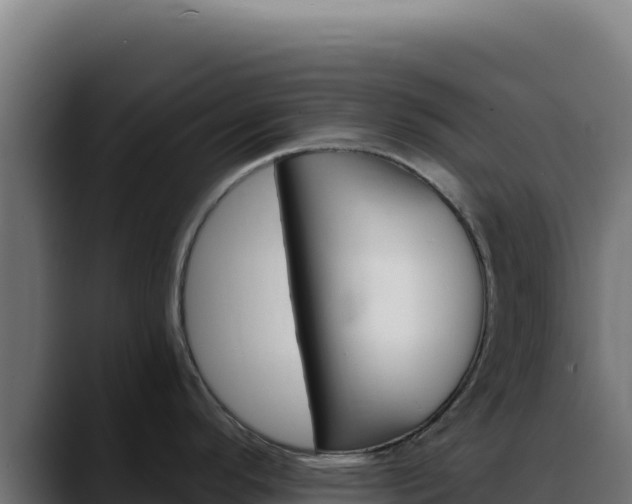 X0000088391296200705291400