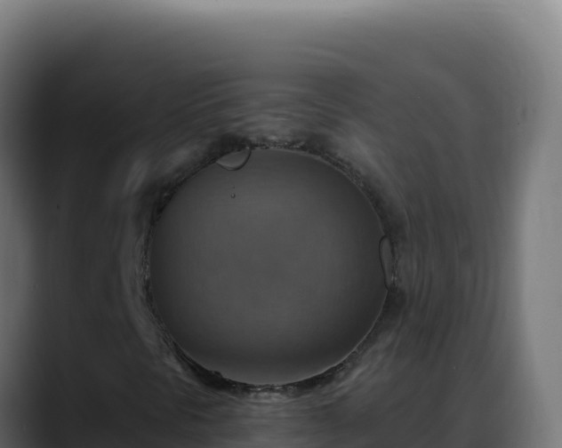 X0000088391297200705291400