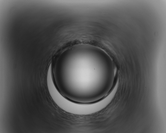 X0000088391298200705291400