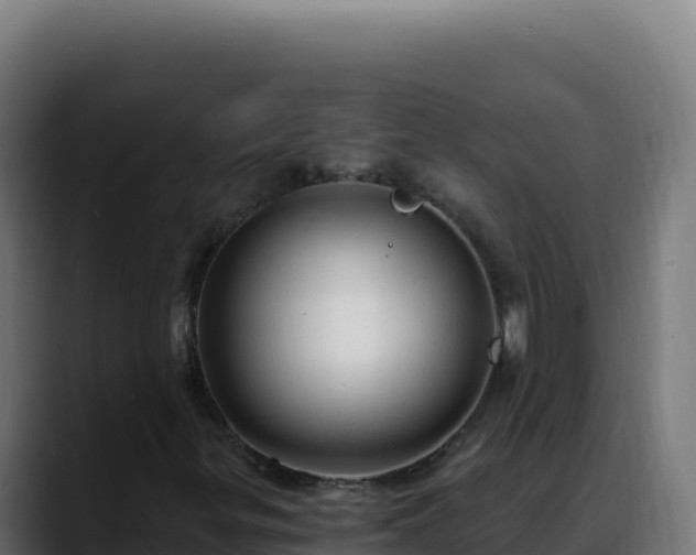 X0000088391299200705291400