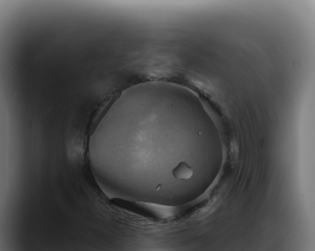 X0000088391300200705291400