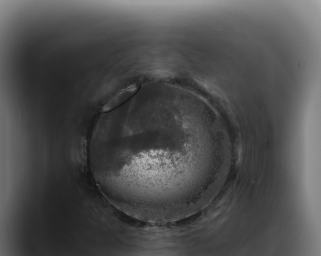 X0000088391301200705291400