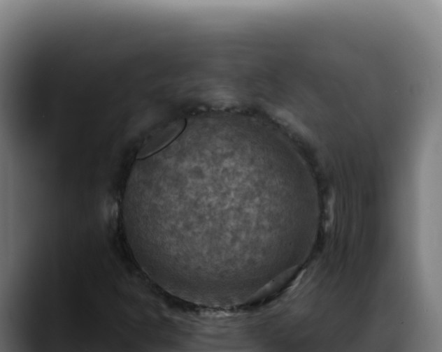 X0000088391302200705291400