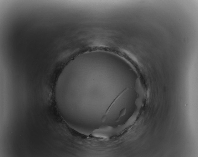 X0000088391303200705291400