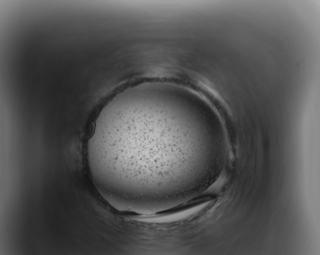 X0000088391304200705291400