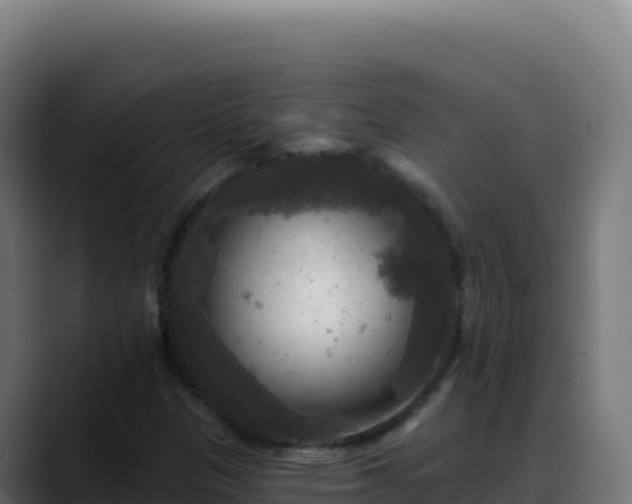 X0000088391305200705291400