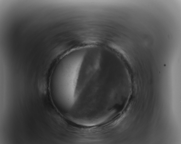 X0000088391306200705291400