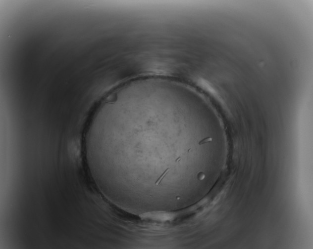 X0000088391307200705291400