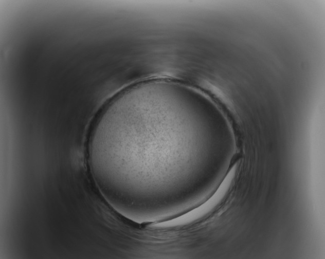 X0000088391308200705291400