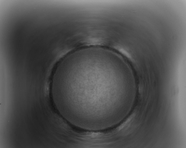 X0000088391309200705291400