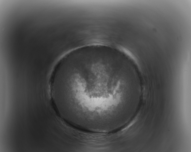 X0000088391310200705291400