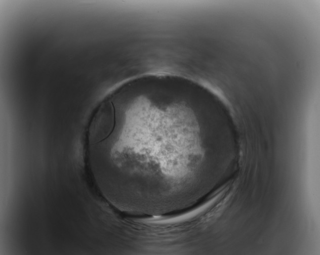 X0000088391311200705291400