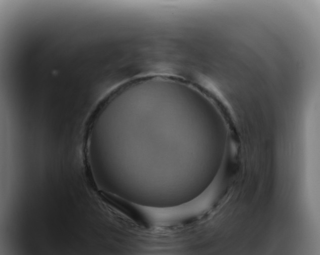 X0000088391312200705291400