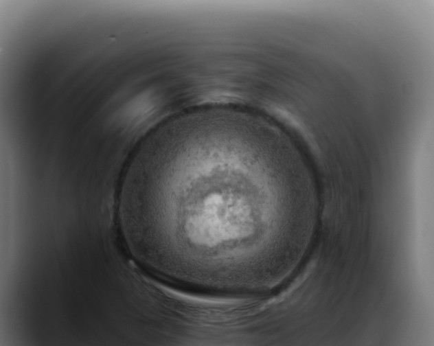 X0000088391313200705291400