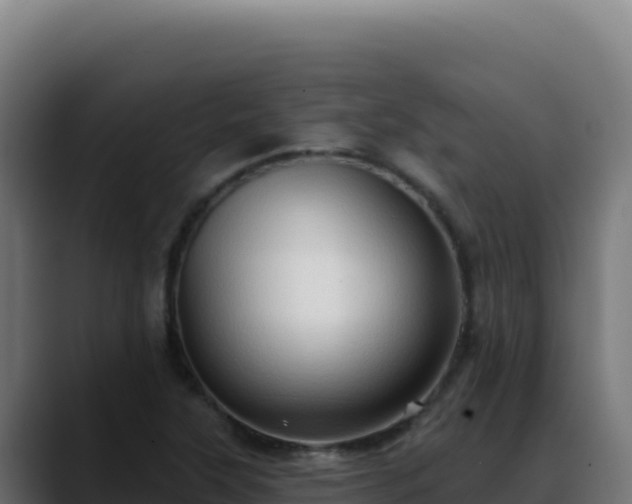 X0000088391315200705291400