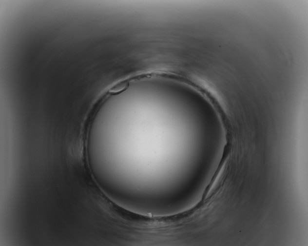 X0000088391316200705291400