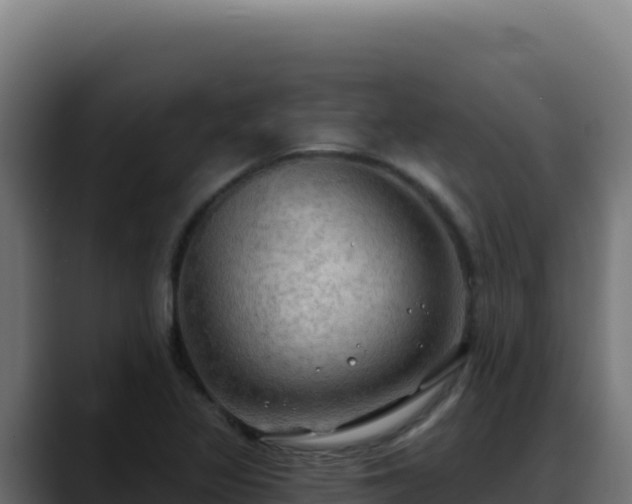 X0000088391317200705291400