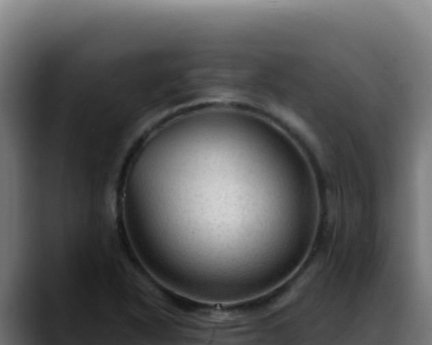 X0000088391318200705291400