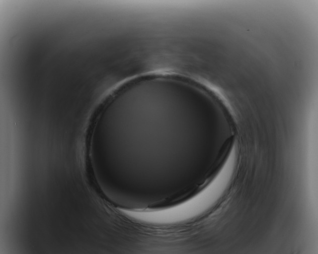 X0000088391319200705291400