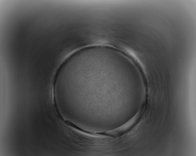 X0000088391320200705291400