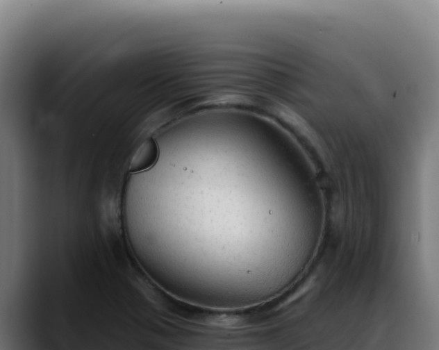 X0000088391321200705291400