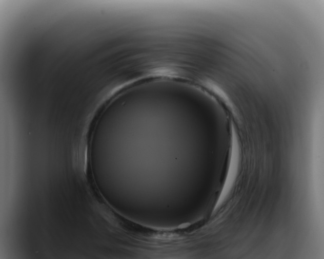 X0000088391323200705291400