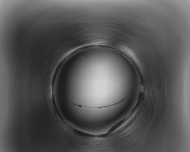 X0000088391324200705291400