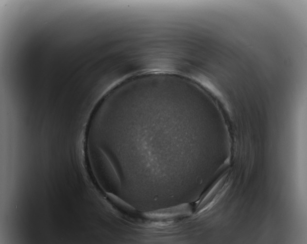 X0000088391325200705291400