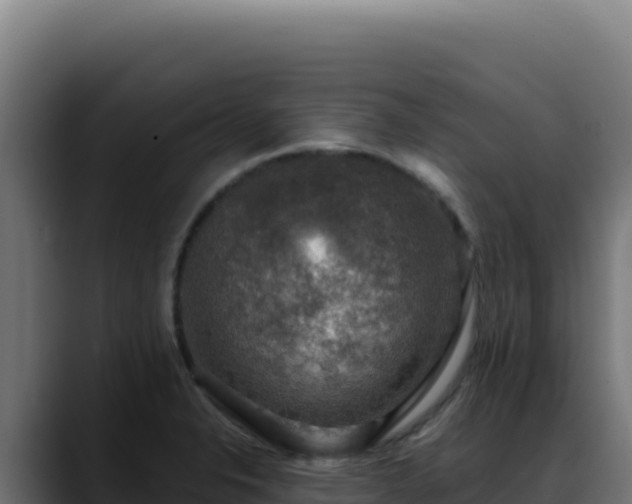 X0000088391326200705291400