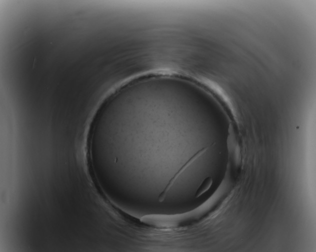 X0000088391327200705291400