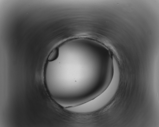 X0000088391328200705291400