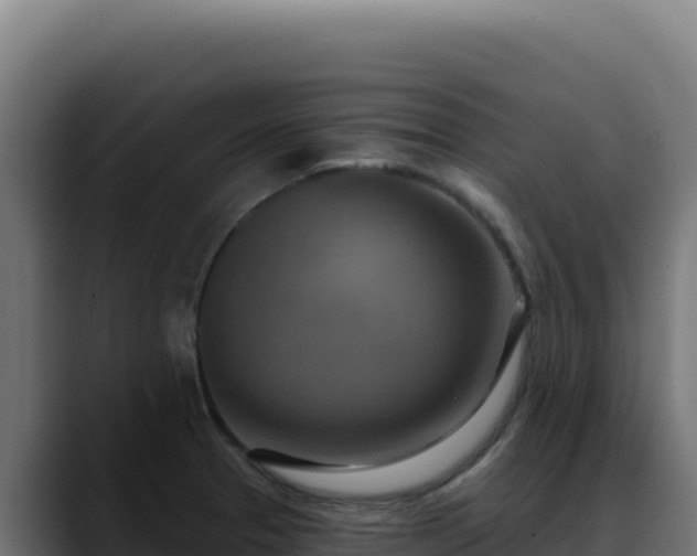 X0000088391329200705291400