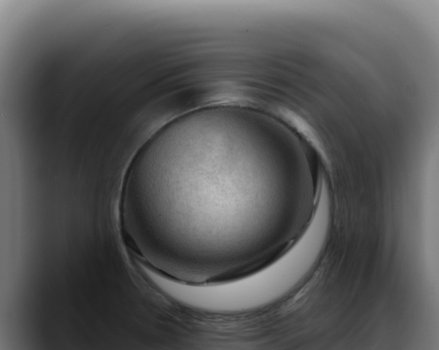 X0000088391330200705291400