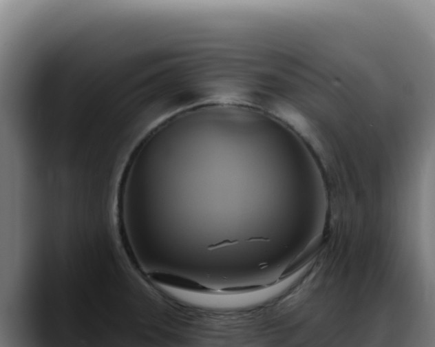 X0000088391331200705291400