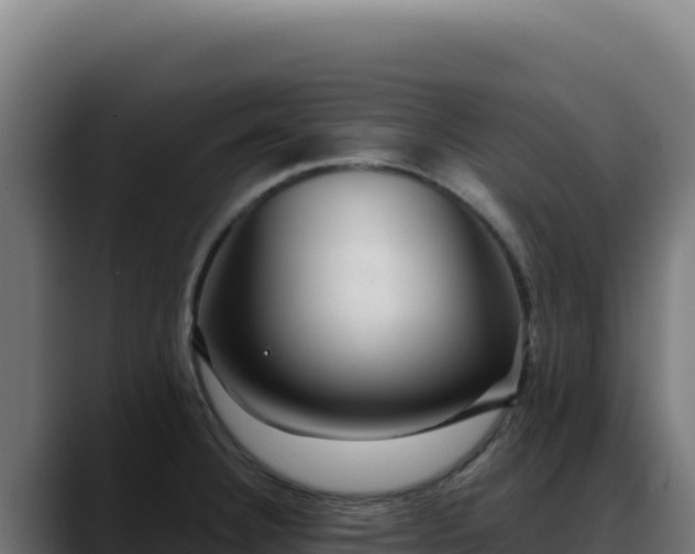 X0000088391332200705291400