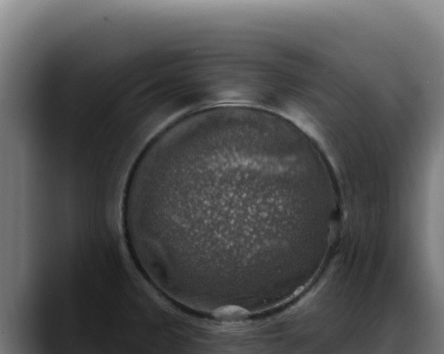 X0000088391333200705291400