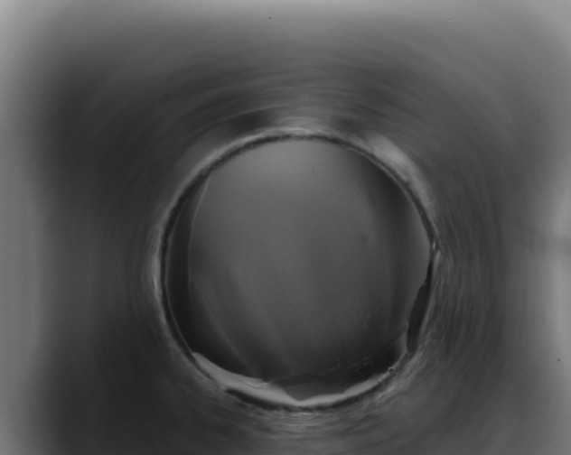 X0000088391334200705291400