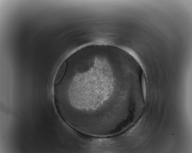 X0000088391335200705291400