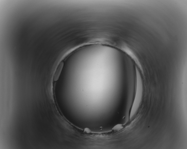 X0000088391336200705291400